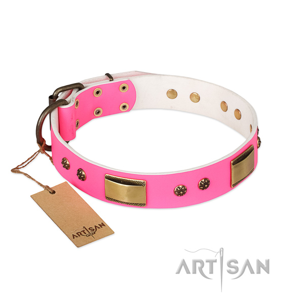 Inimitable genuine leather collar for your four-legged friend