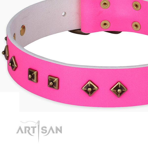 Amazing leather collar for your stylish canine
