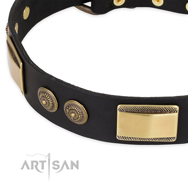 Stunning full grain natural leather collar for your lovely dog