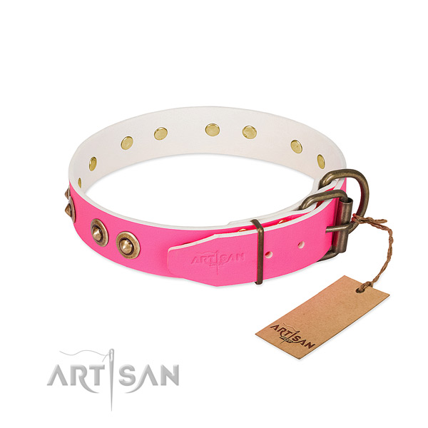 Full grain leather dog collar with rust resistant hardware and decorations