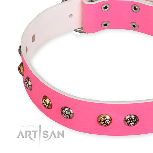 Genuine leather dog collar with top notch reliable studs