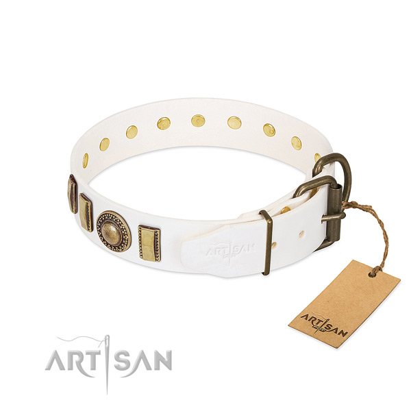 Top rate full grain genuine leather dog collar crafted for your doggie