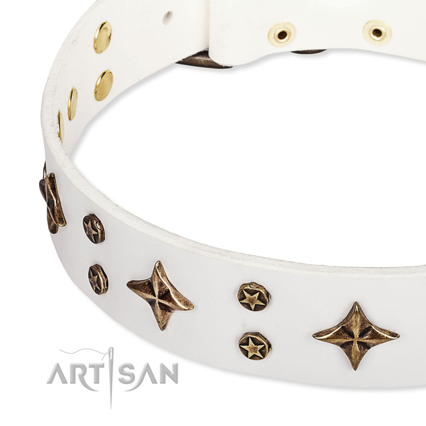 Everyday use decorated dog collar of durable genuine leather