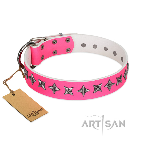 Durable natural leather dog collar with unusual adornments