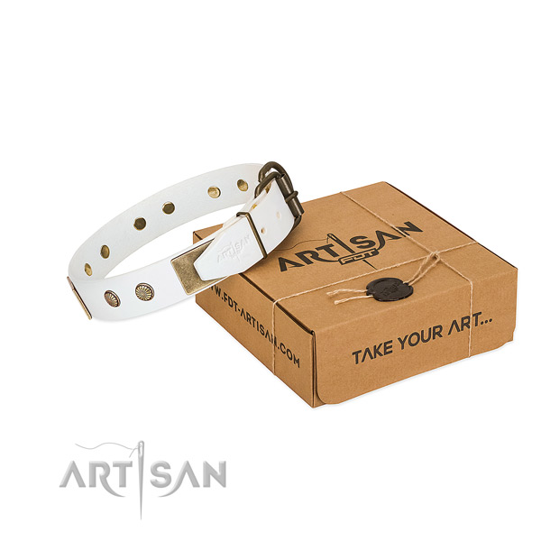 Rust resistant fittings on dog collar for everyday use