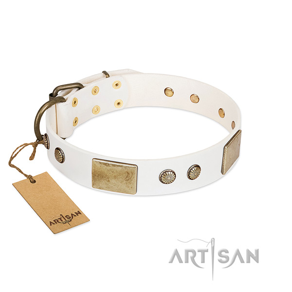 Adjustable full grain genuine leather dog collar for walking your pet