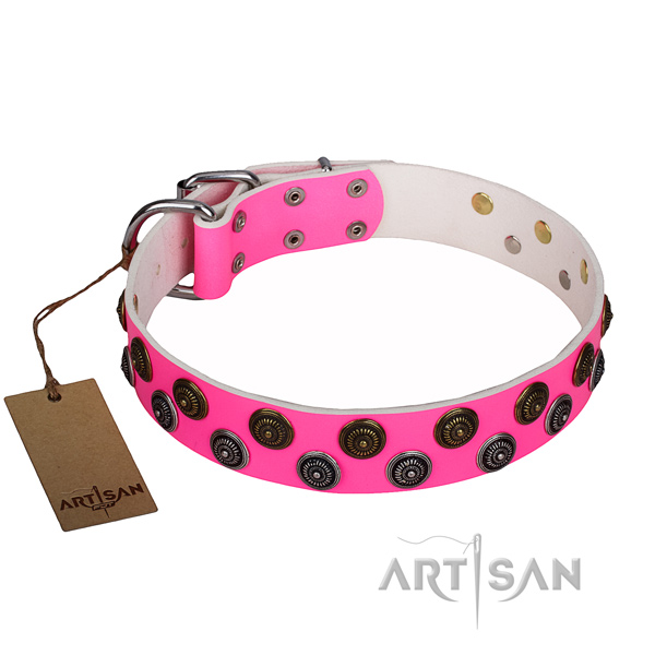 Basic training dog collar of best quality genuine leather with adornments