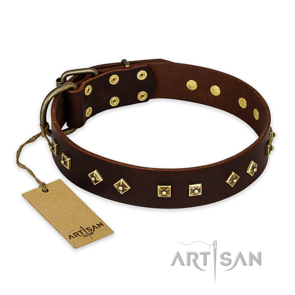 Incredible leather dog collar with reliable hardware