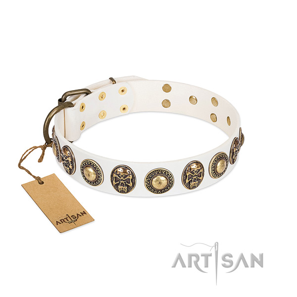 Adjustable full grain leather dog collar for everyday walking your four-legged friend
