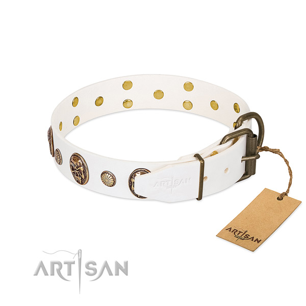 Corrosion proof hardware on leather collar for basic training your pet
