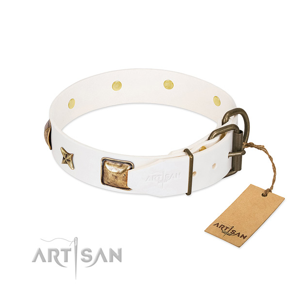 Leather dog collar with strong traditional buckle and studs