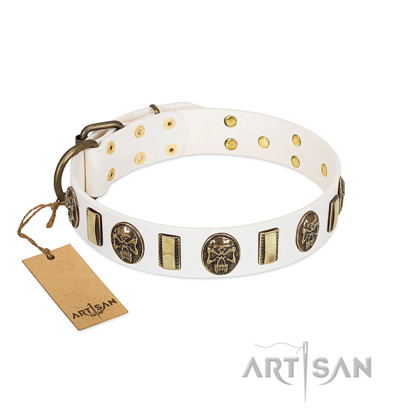 Extraordinary leather dog collar for comfy wearing
