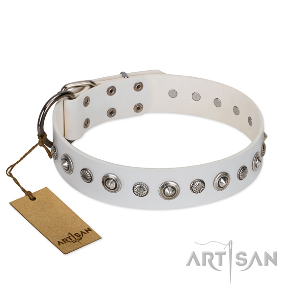 Reliable leather dog collar with stylish decorations