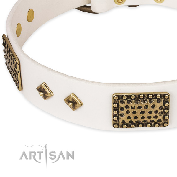 Corrosion resistant embellishments on full grain natural leather dog collar for your pet