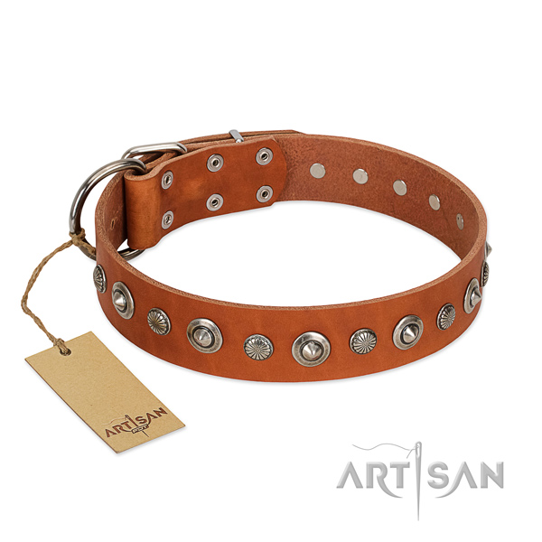 Fine quality genuine leather dog collar with unique embellishments