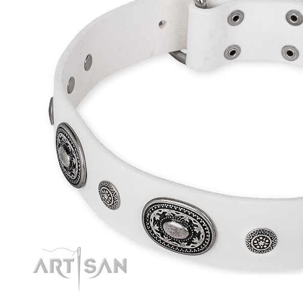 Reliable genuine leather dog collar created for your stylish canine