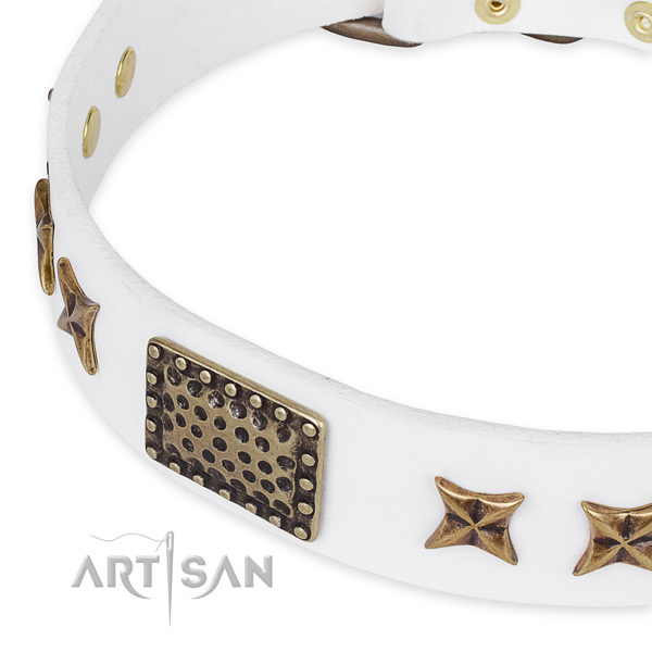 Full grain genuine leather collar with strong D-ring for your attractive four-legged friend