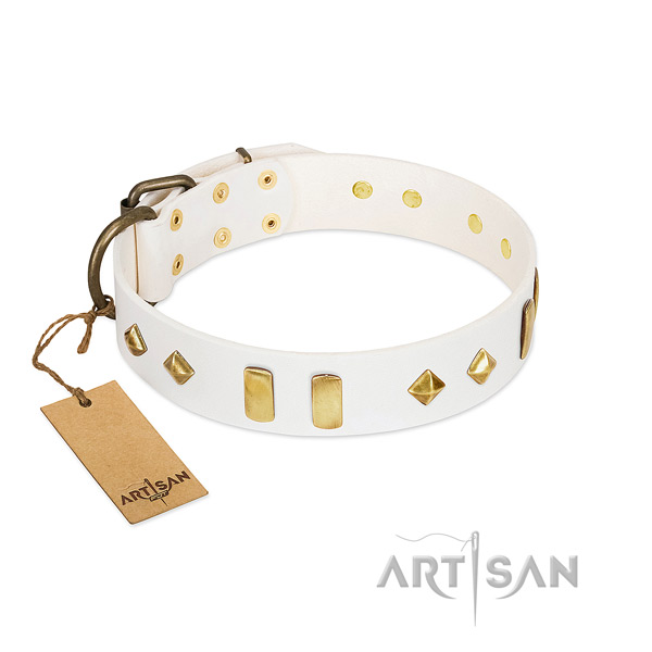 Best quality genuine leather dog collar with strong fittings