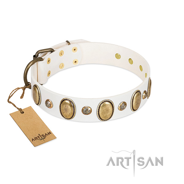 Full grain genuine leather dog collar of soft to touch material with exceptional embellishments