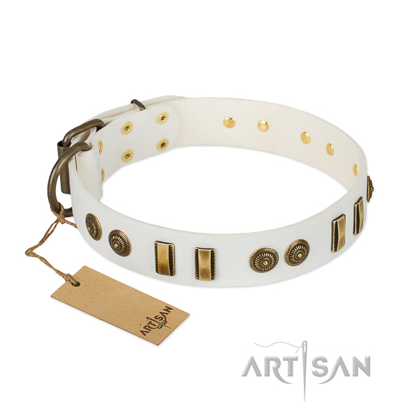 Corrosion proof fittings on full grain leather dog collar for your canine