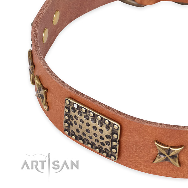 Natural genuine leather collar with corrosion proof hardware for your lovely canine