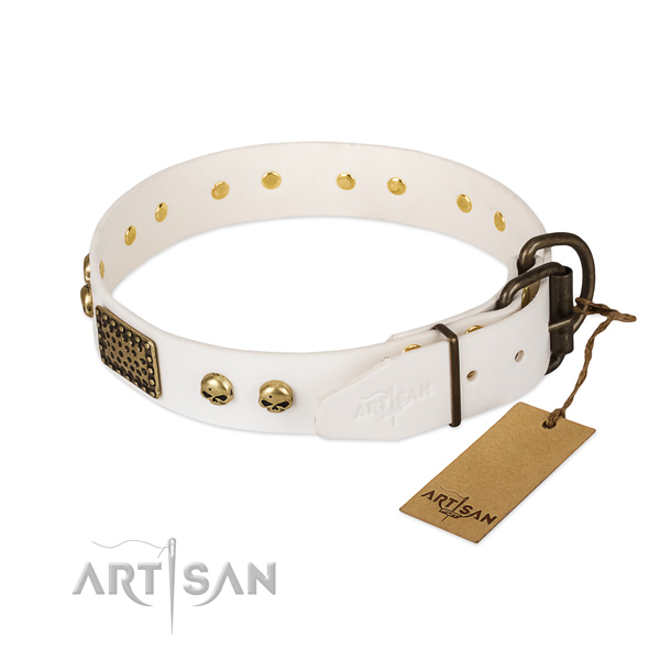 Easy wearing genuine leather dog collar for daily walking your canine