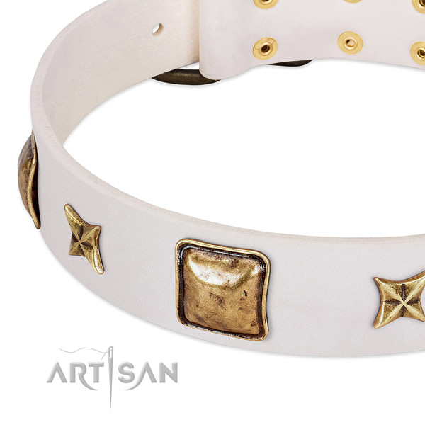 Corrosion resistant buckle on full grain natural leather dog collar for your doggie