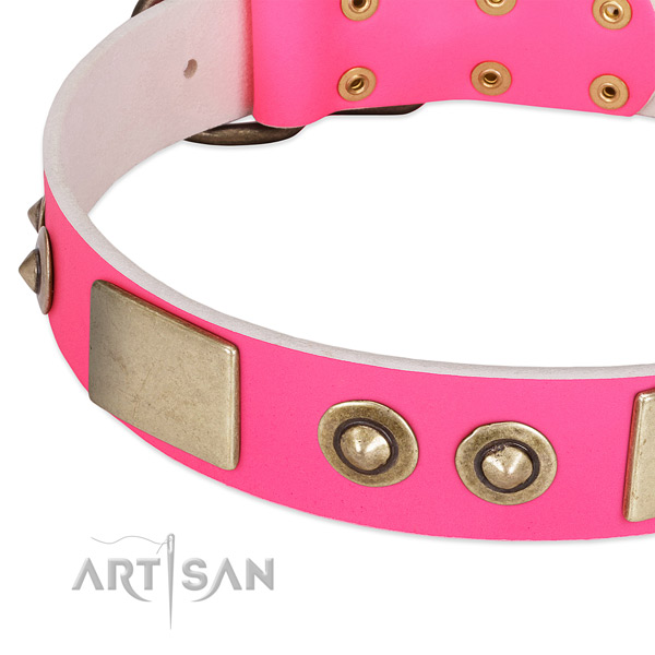 Reliable decorations on genuine leather dog collar for your doggie