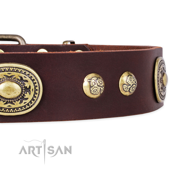 Handmade leather collar for your attractive canine