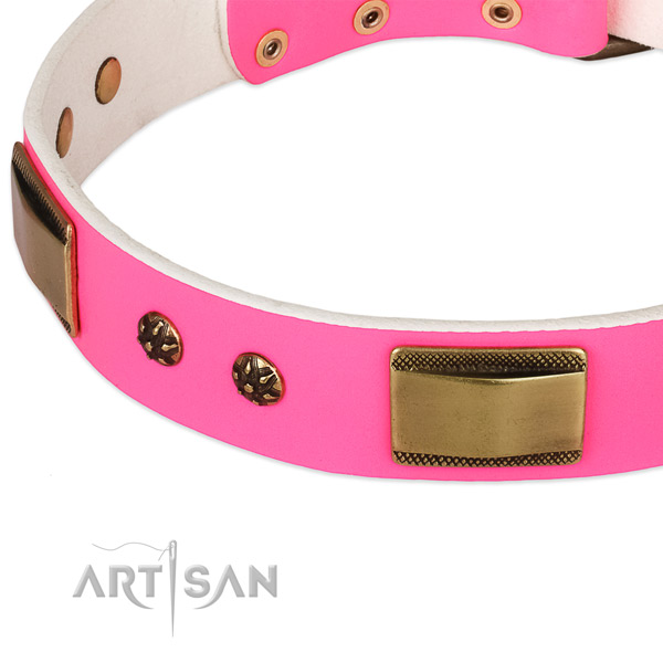 Reliable studs on full grain natural leather dog collar for your doggie