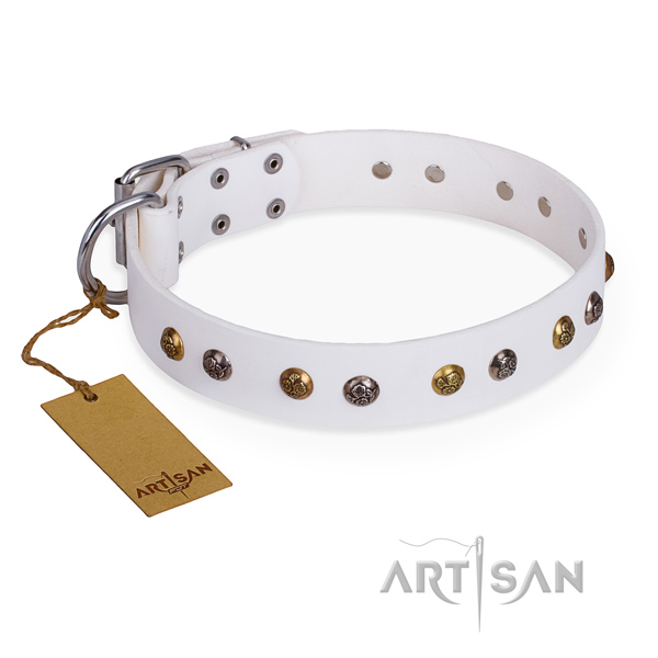 Comfy wearing convenient dog collar with rust resistant D-ring