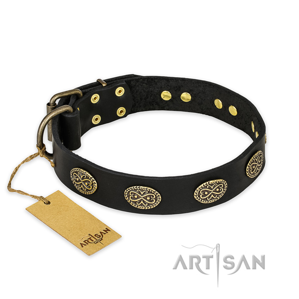 Studded leather dog collar with reliable buckle