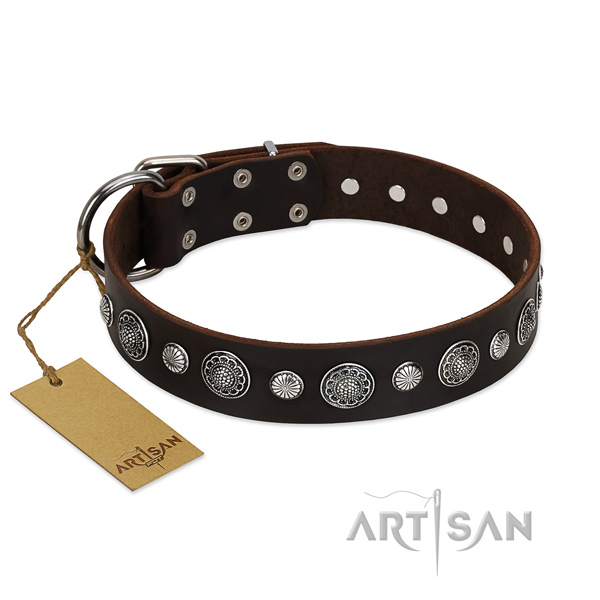 Strong full grain genuine leather dog collar with impressive embellishments