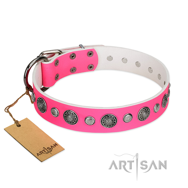 High quality genuine leather dog collar with corrosion resistant hardware