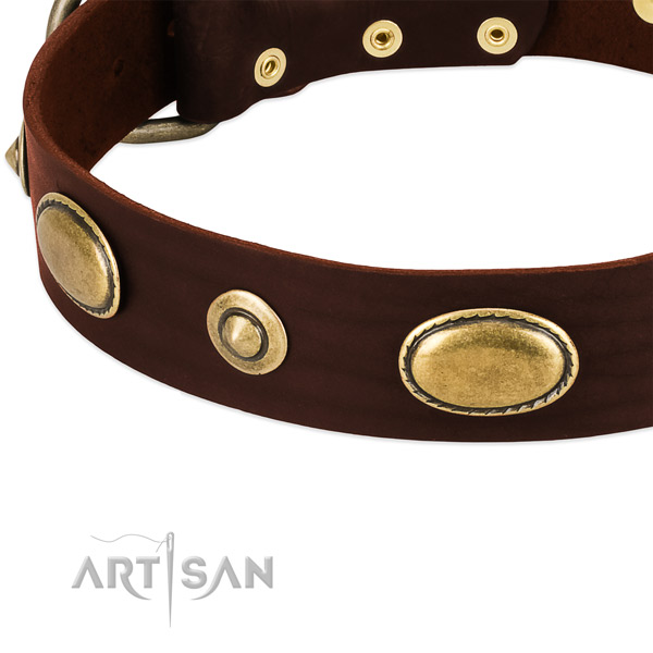 Rust resistant adornments on leather dog collar for your canine