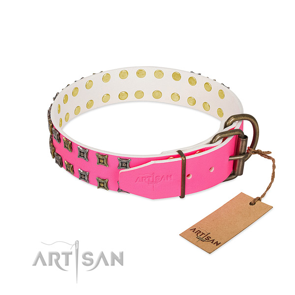 Full grain natural leather collar with stylish embellishments for your dog