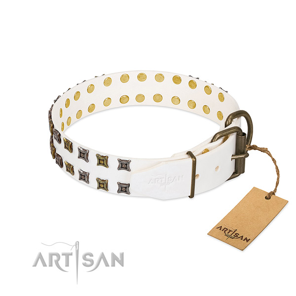 Full grain leather collar with exceptional adornments for your doggie