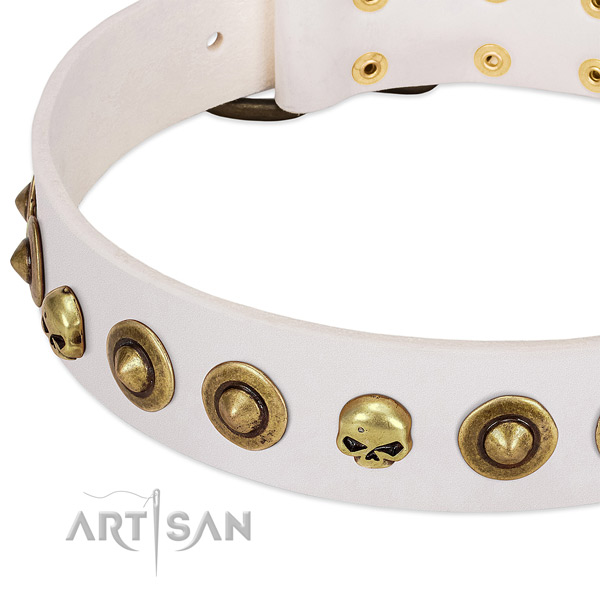 Top notch decorations on full grain leather collar for your canine