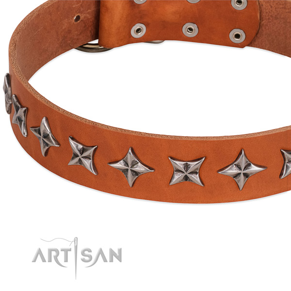 Comfy wearing studded dog collar of quality full grain natural leather