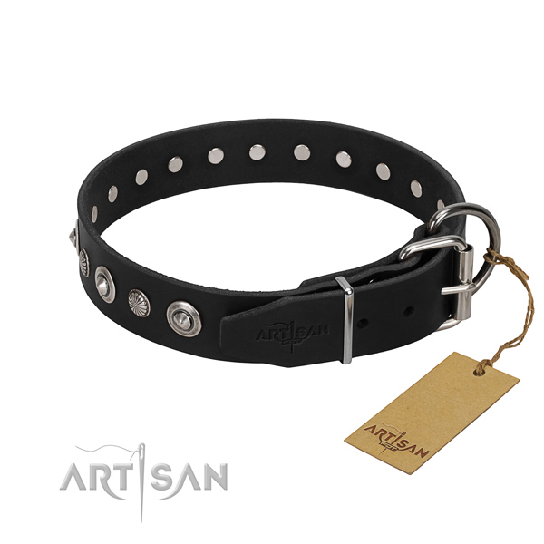 Durable genuine leather dog collar with amazing studs