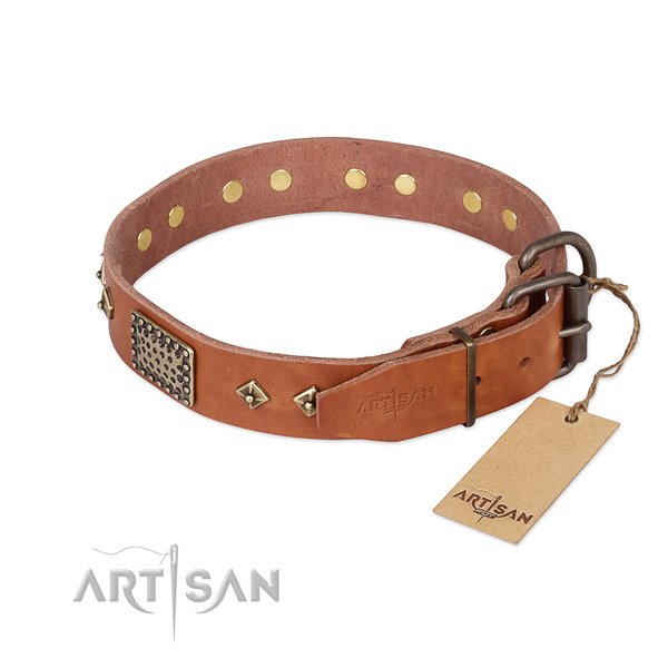 Leather dog collar with strong buckle and adornments