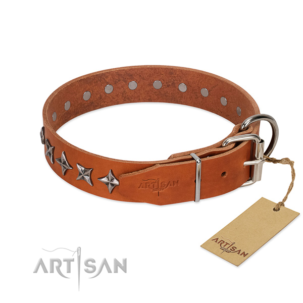 Basic training embellished dog collar of finest quality full grain genuine leather