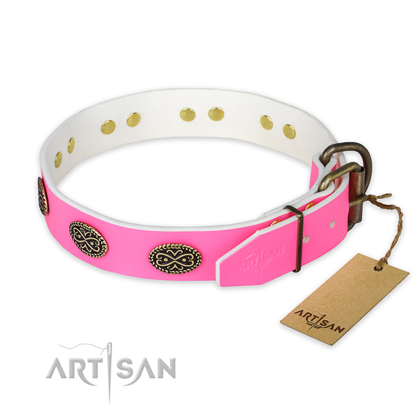Corrosion proof studs on walking dog collar