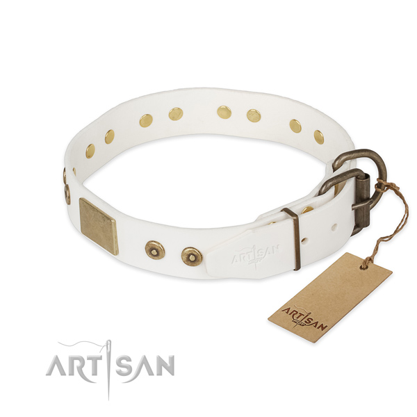 Corrosion resistant traditional buckle on genuine leather collar for daily walking your pet