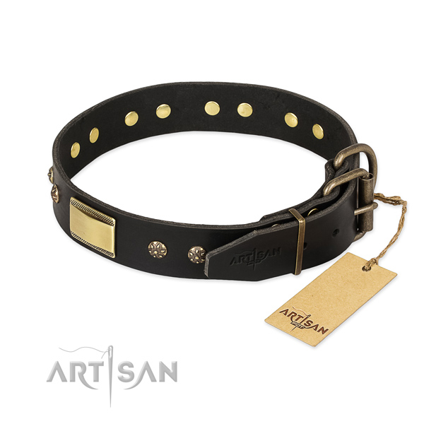 Genuine leather dog collar with reliable fittings and adornments