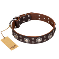 "Age of Beauty" FDT Artisan Incredible Studded Brown Leather Bullmastiff Collar