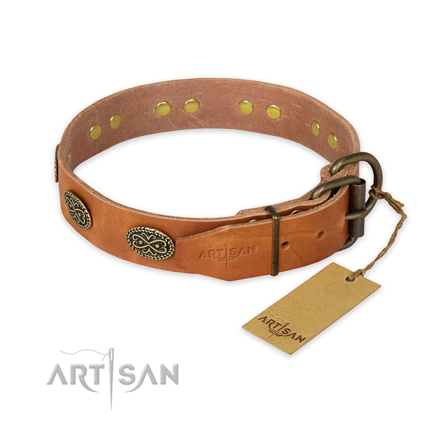 Corrosion resistant fittings on full grain genuine leather collar for fancy walking your pet