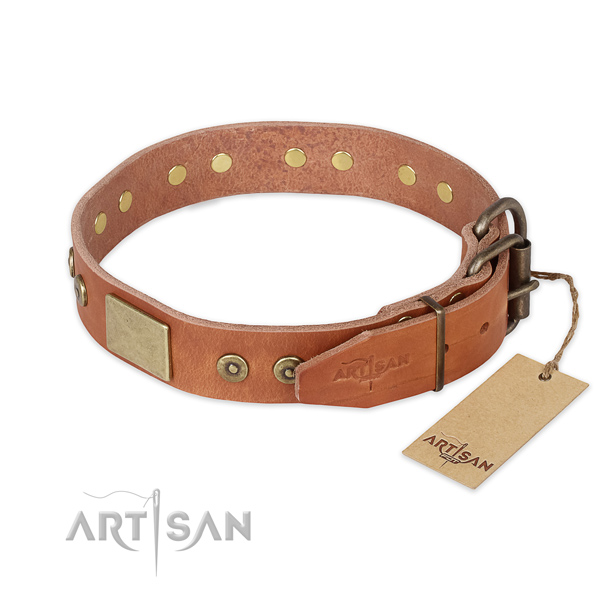 Corrosion resistant buckle on full grain genuine leather collar for stylish walking your canine