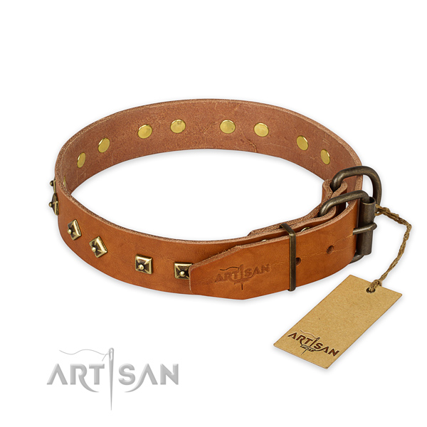 Rust-proof hardware on leather collar for stylish walking your four-legged friend