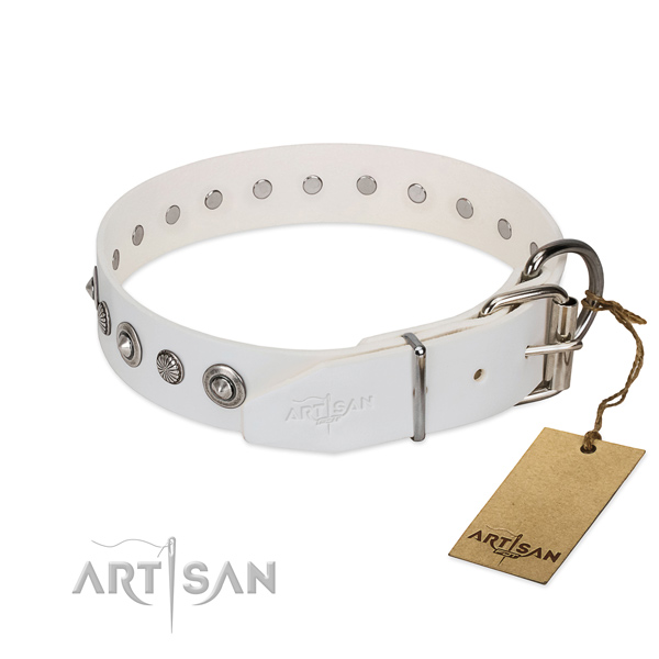 Quality genuine leather dog collar with significant embellishments